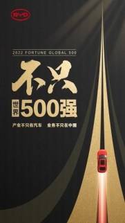 不只世界500强 中文海报